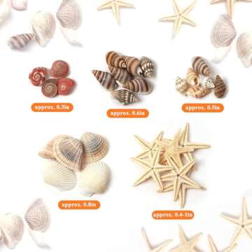 HAPY SHOP 1200 Pieces Tiny Sea Shells and Starfish for Crafting