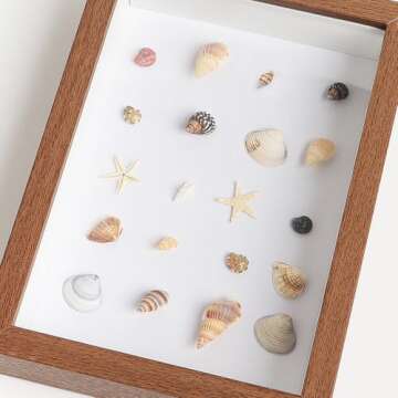 HAPY SHOP 1200 Pieces Tiny Sea Shells and Starfish for Crafting