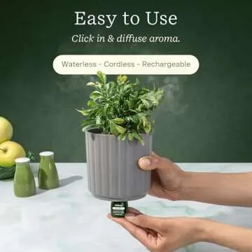 Lifelines Plant Diffuser with Modern Planter, Boxwood - Rechargeable Aromatherapy Diffuser, Artificial Faux Plants Home & Office - ClickWick Essential Oil Blend Included