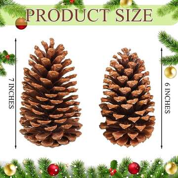 Huwena 12 Pcs Large Natural Pine Cones for Rustic Craft DIY Decor