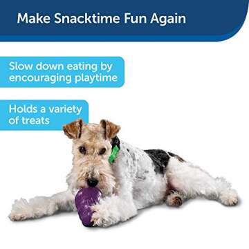 PetSafe Busy Buddy Squirrel Dude Dog Toy - Interactive Treat Dispensing Toy for Medium Dogs