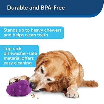 PetSafe Busy Buddy Squirrel Dude - Tough Dog Toy