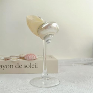 Elegant Seashell Wine Glasses for Beach Weddings Parties