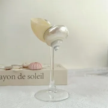 Elegant Seashell Wine Glasses for Beach Weddings Parties