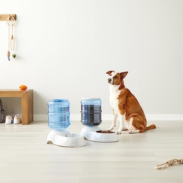 Automatic Gravity Feeder and Water Dispenser Set for Pets