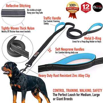 Primal Pet Gear 6ft Dog Leash - Heavy Duty, Reflective, Dual Handle for Ultimate Control
