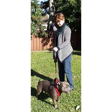 Primal Pet Gear Dog Leash - Heavy Duty 6ft Reflective Control