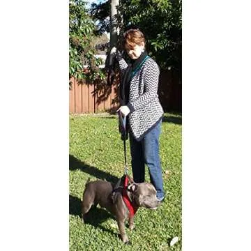 Primal Pet Gear Dog Leash - Heavy Duty 6ft Reflective Control