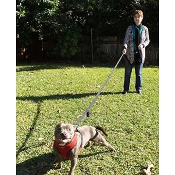 Primal Pet Gear Dog Leash - Heavy Duty 6ft Reflective Control