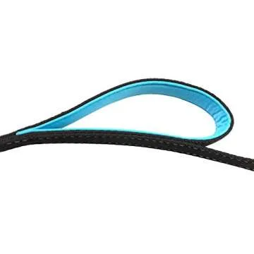 Primal Pet Gear Dog Leash - Heavy Duty 6ft Reflective Control