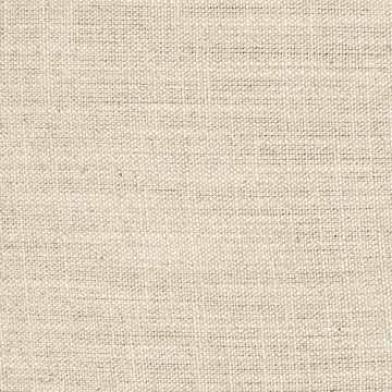 Stone & Beam Laurel Rounded Accent Chair - Stylish Comfort