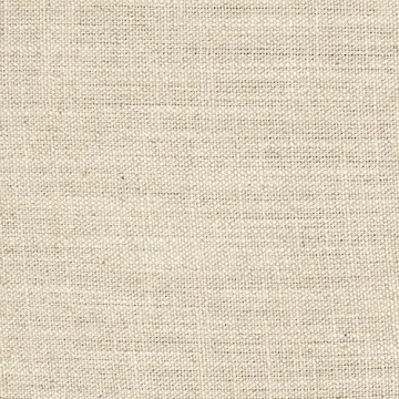 Stone & Beam Laurel Rounded Accent Chair - Stylish Comfort