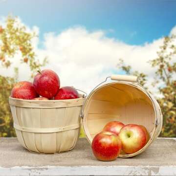 Cornucopia Brands Round Wooden Baskets (2-Pack, Natural); Wood Fruit Buckets w/Handle, 4-Quart Capacity; 6.1 Inch Tall by 8 Inch Diameter