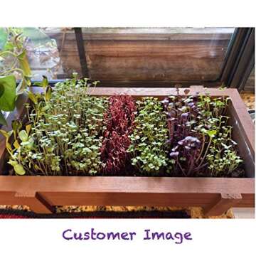 MICROGREEN PROS Organic Microgreens Growing Kit with Beautiful Wooden Countertop Planter, Soil & Organic Sunflower and Mixed Microgreens Seeds for 2 Crops. 100% Guaranteed to Grow.