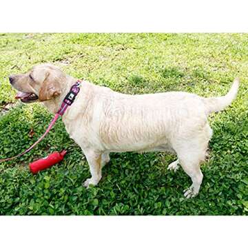 NIMBLE Dog Collar Waterproof Pet Collars Anti-Odor Durable Adjustable PVC & Polyester Soft with Reflective Cloth Stripe Basic Dog Collars S/M/L Sizes (Large (15.35”-24.8”inches), Rose Purple)