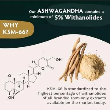 TRIBE ORGANICS Vegan Ashwagandha KSM 66 Pure Organic Root Powder Extract Ayurvedic Supplement - Focus Mood Support Increase Energy Strength 600mg of Natural KSM66 for Superior Absorption - 90 Capsules