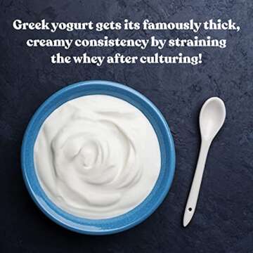 Cultures for Health Greek Yogurt Starter Culture | 2 Packets Dehydrated Heirloom Style DIY Probiotic Yogurt | Delicious for Smoothies, Granola and Berries, Tzatziki, Soup, & Other Healthy Snacks