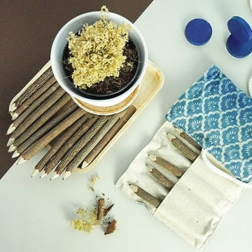Rustic Wooden Tree Twig Pencils Set for Kids and Artists