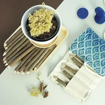 Rustic Wooden Tree Twig Pencils Set for Kids and Artists