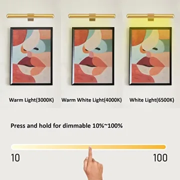 VIGMOJ Wireless Rechargeable Picture Light with Remote Control