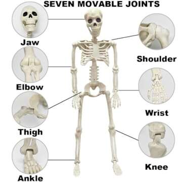 36" Skeleton Halloween Decorations, 3FT Realistic Full Body Movable Posable Joints Skeleton, Creepy Halloween Plastic Skeleton for Graveyard Decorations, Haunted House Props Indoor/Outdoor Decor