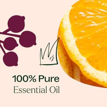 Plant Therapy Holiday Season Synergy Essential Oil 10 mL (1/3 oz) 100% Pure, Undiluted, Therapeutic Grade