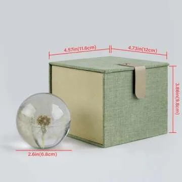 CAIRIAC Real Dandelion Paperweight, Dandelion in Resin Ball, Home Office Decor, Real Dandelion Speci...