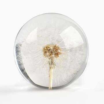 CAIRIAC Dandelion Paperweight - Unique Home Office Decor