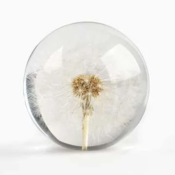 CAIRIAC Dandelion Paperweight - Unique Home Office Decor