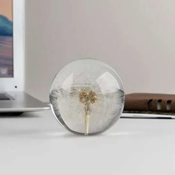CAIRIAC Dandelion Paperweight - Unique Home Office Decor