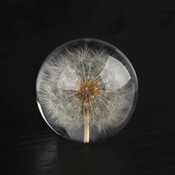 CAIRIAC Dandelion Paperweight - Unique Home Office Decor