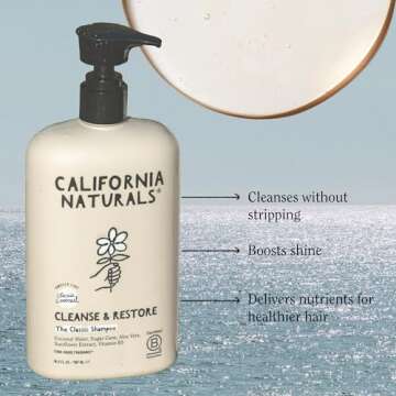 Coconut Shampoo for All Hair Types, Vegan and Natural