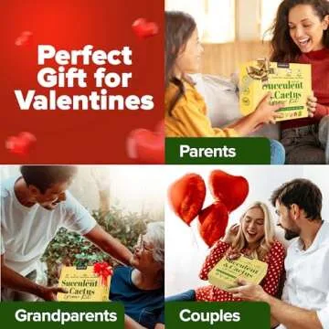 HOME GROWN Deluxe Succulent & Cactus Seed Grow Kit - Indoor Cactus & Succulent Kit w/Cactus Seeds, Potting Soil, Ceramic Succulent Pots, Water Drip Trays, Grow Guide for Plant Lovers