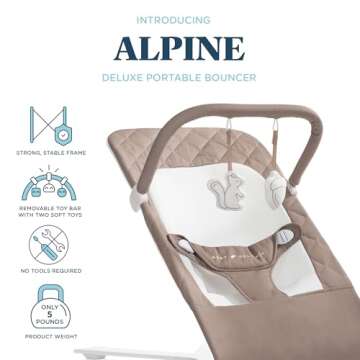 Baby Delight Alpine Deluxe Portable Baby Bouncer | Infant | 0-6 Months | 100% GOTS Certified Organic...