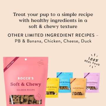 Bocce's Bakery Oven Baked Salmon Recipe Treats for Dogs, Wheat-Free Everyday Dog Treats, Made with Real Ingredients, Baked in The USA, All-Natural Soft & Chewy Cookies, Salmon, 6 oz