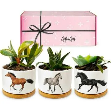 Horse Lover Gifts for Women - Cute Planter Sets