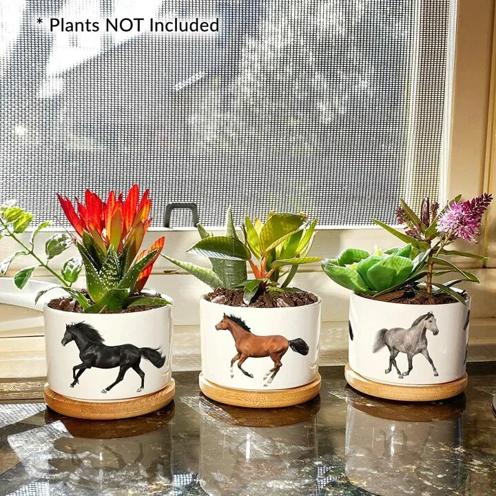 Horse Lover Gifts for Women - Cute Planter Sets
