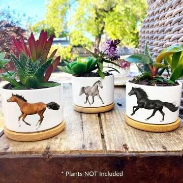 Horse Lover Gifts for Women - Cute Planter Sets