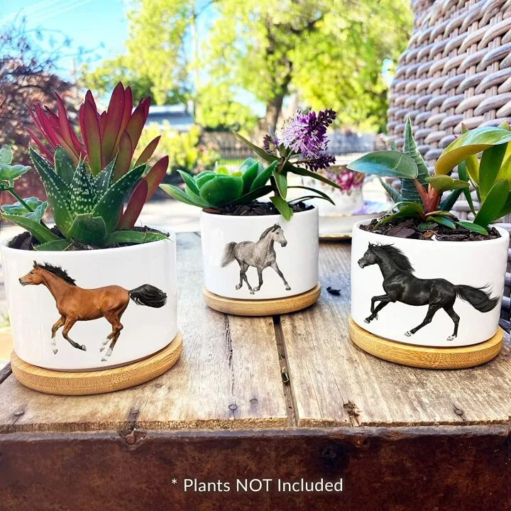 Horse Lover Gifts for Women - Cute Planter Sets