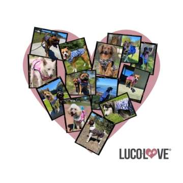 LUCOLOVE Cooling Vest for Dogs - Lightweight & Stylish