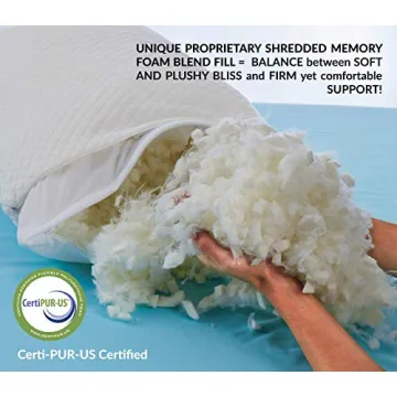 DreamyBlue Adjustable Premium Pillow for Effortless Sleep