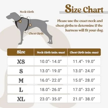 Highly Comfortable No-Pull Dog Harness for Large Breeds