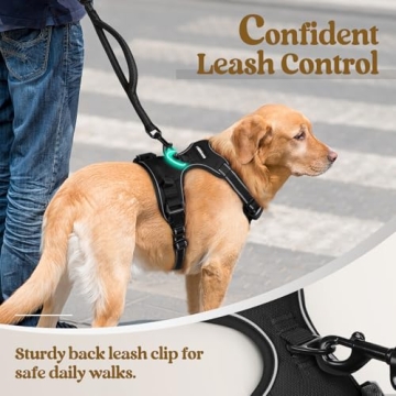Highly Comfortable No-Pull Dog Harness for Large Breeds