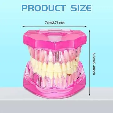 Outus Disease Teeth Model - Dental Implant Teaching Set (Pink, 2 Pcs)