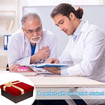 Outus Dental Implant Teeth Model for Education and Research