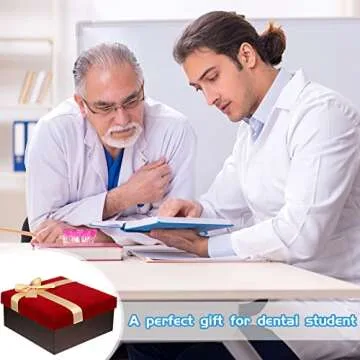 Outus Dental Implant Teeth Model for Education and Research