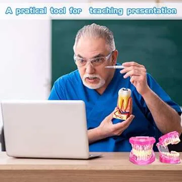 Outus Dental Implant Teeth Model for Education and Research