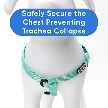 Pawtitas Adjustable No-Pull Dog Harness for All Breeds