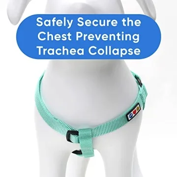 Pawtitas Adjustable No-Pull Dog Harness for All Breeds