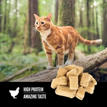 ORIJEN Freeze Dried Cat Treats with Raw Animal Ingredients